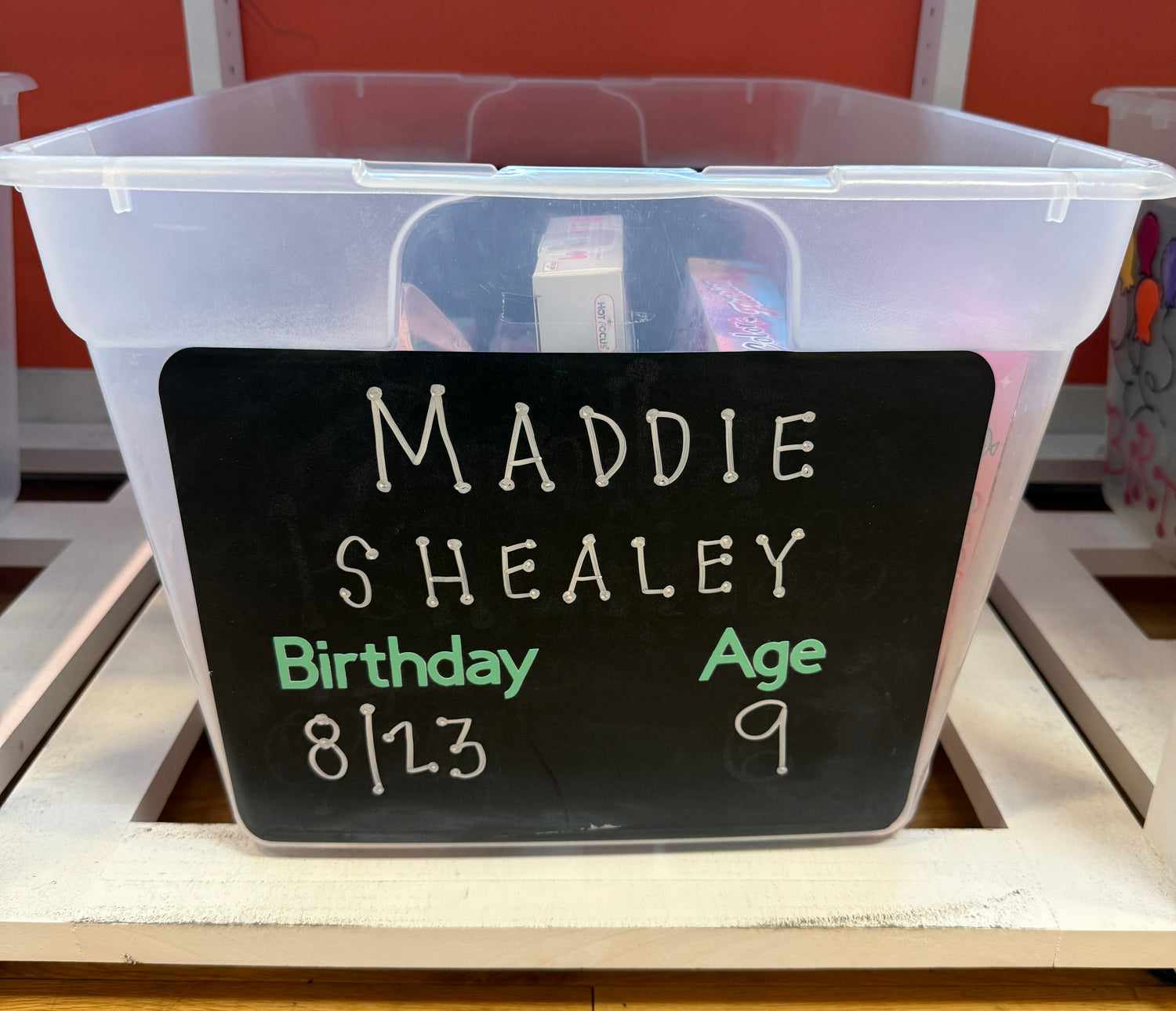 MADDIE SHEALEY'S BIRTHDAY WISHLIST