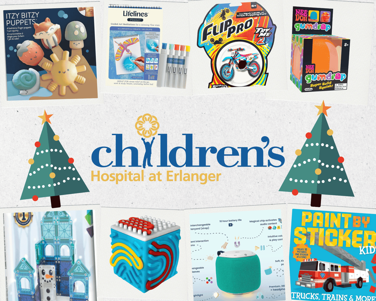 Children's Hospital at Erlanger Holiday Wish List
