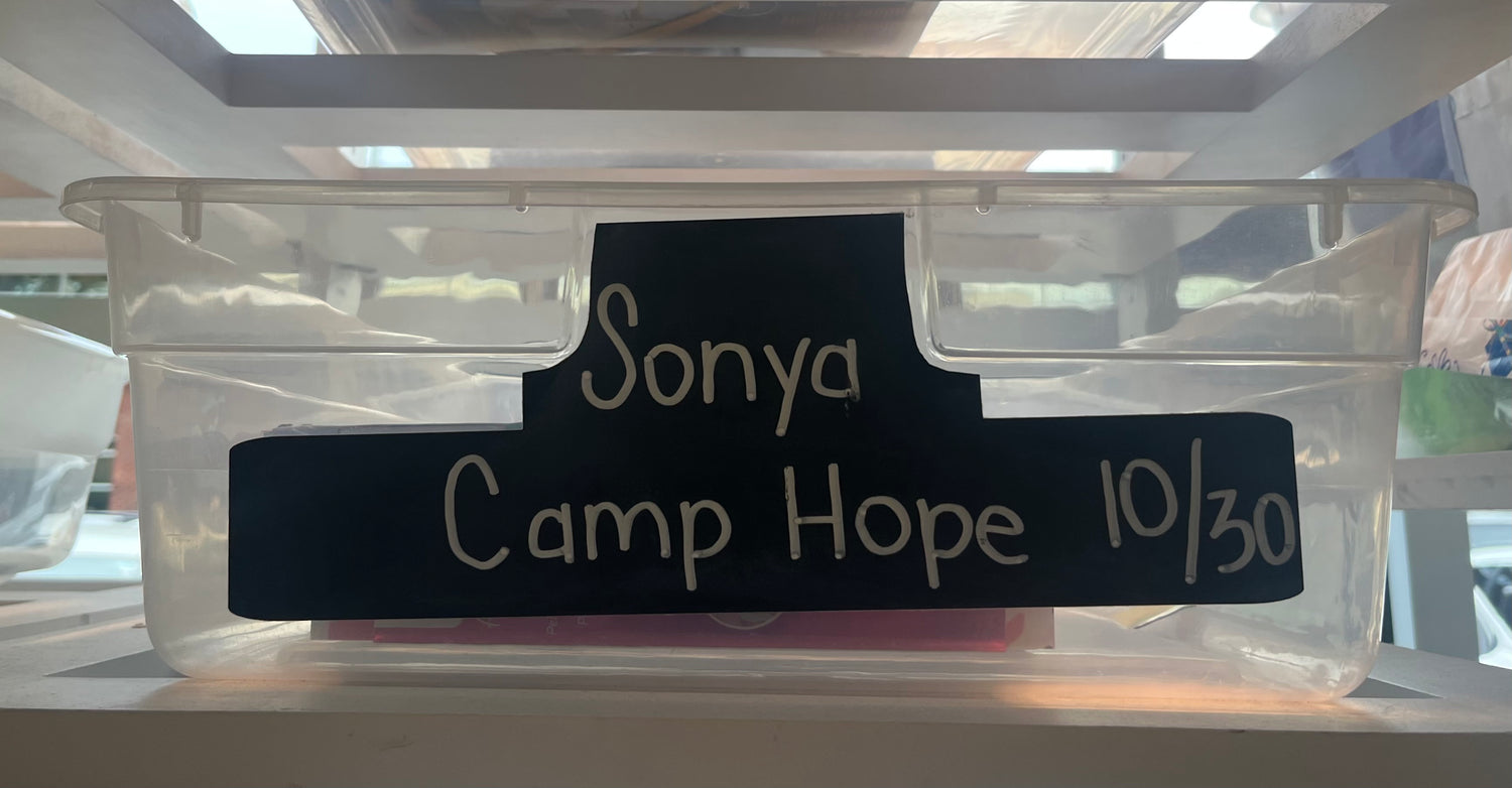 Sonya's Birthday Wishlist (Camp Hope)