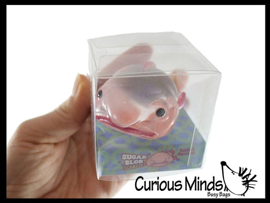 Blob Fish in Clear Box