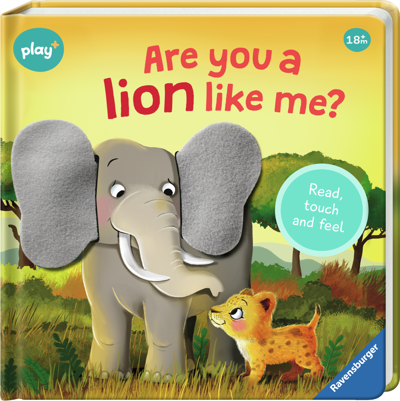 Are You A Lion Like Me? Book