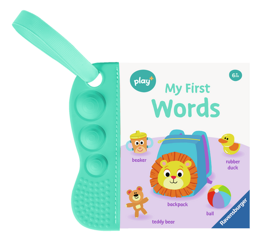 Flip & Pop First Words Book