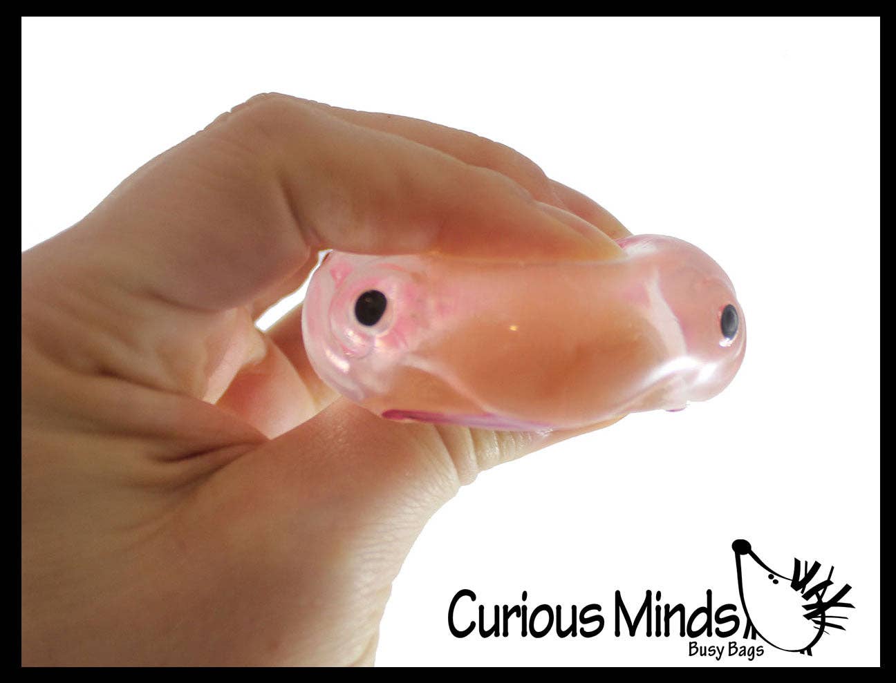 Blob Fish in Clear Box