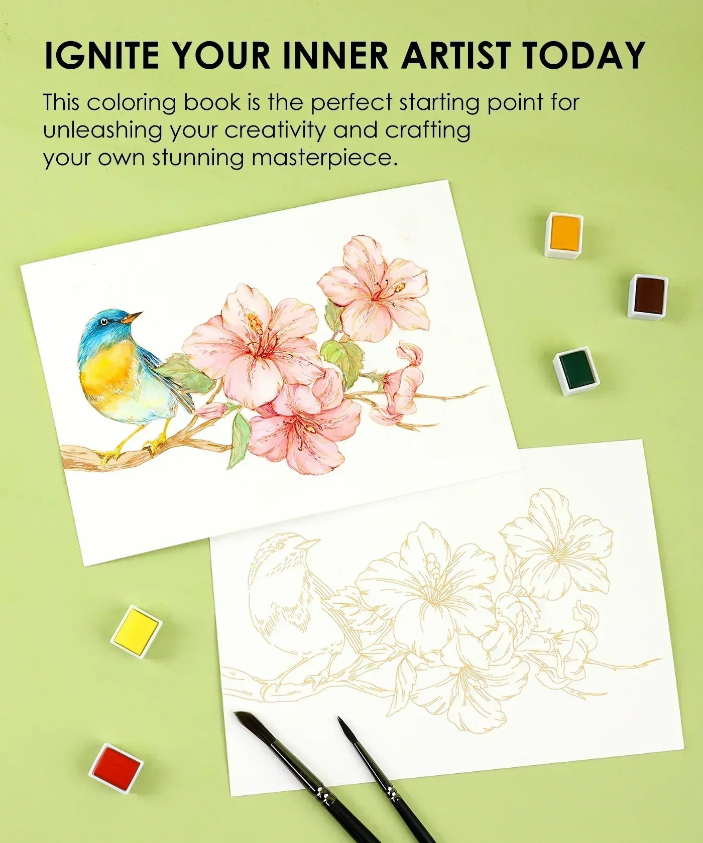 Floral-Themed Watercolor Coloring Book