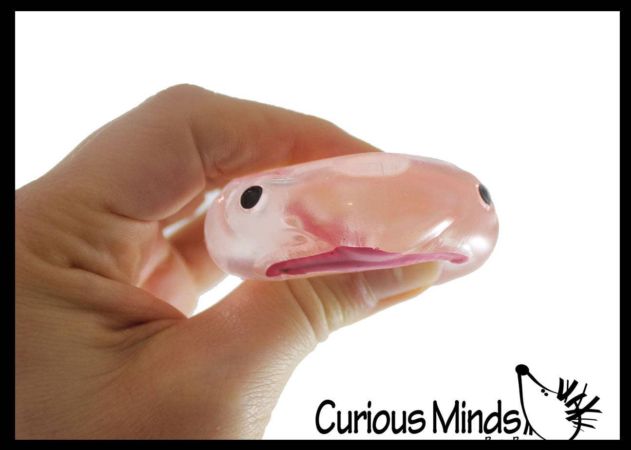 Blob Fish in Clear Box