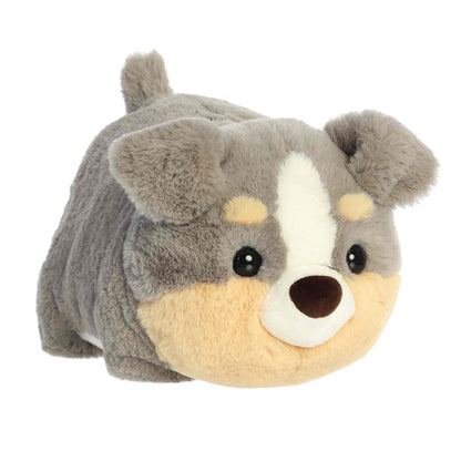 10in Storm Australian Shepherd Spudster