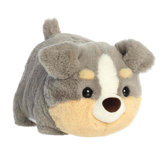 10in Storm Australian Shepherd Spudster