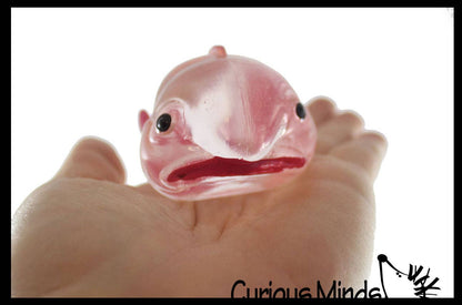Blob Fish in Clear Box
