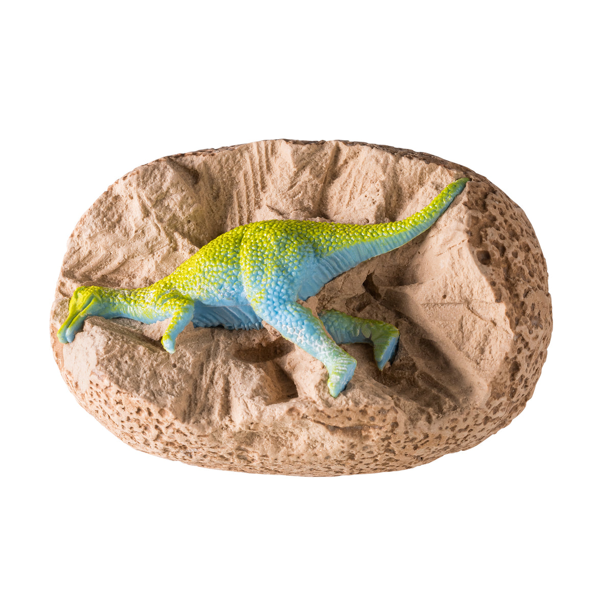 (Bagged) I Dig It! Dino Egg