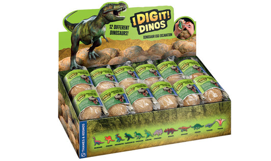 (Bagged) I Dig It! Dino Egg