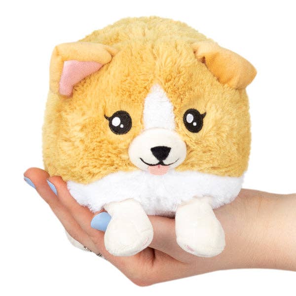 Baby Corgi Squishable