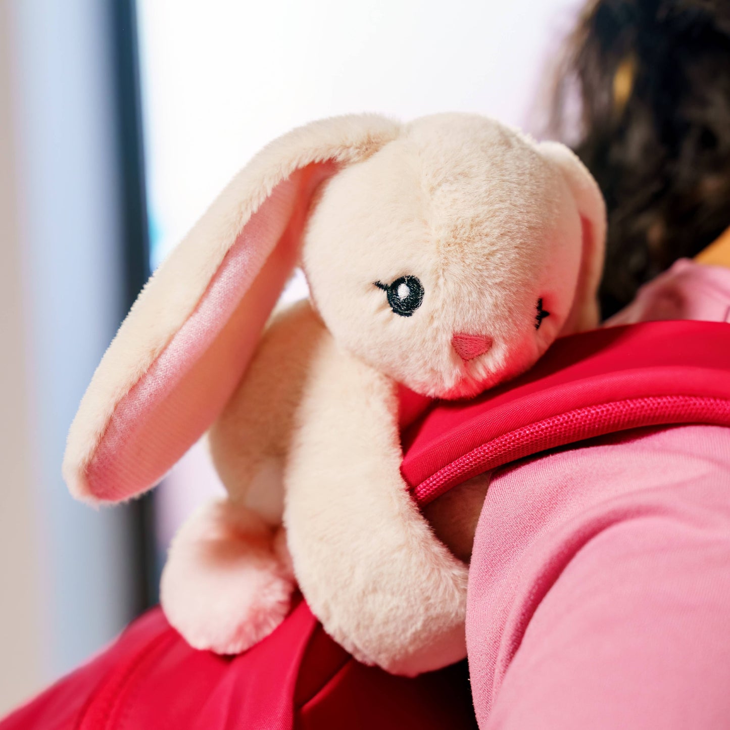 New! Hug Baby Iggy the Bunny
