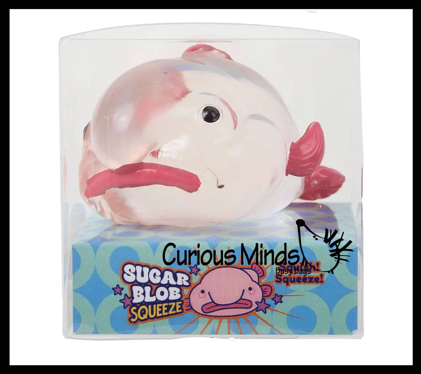 Blob Fish in Clear Box