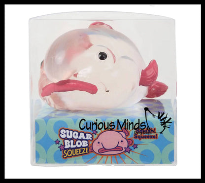 Blob Fish in Clear Box