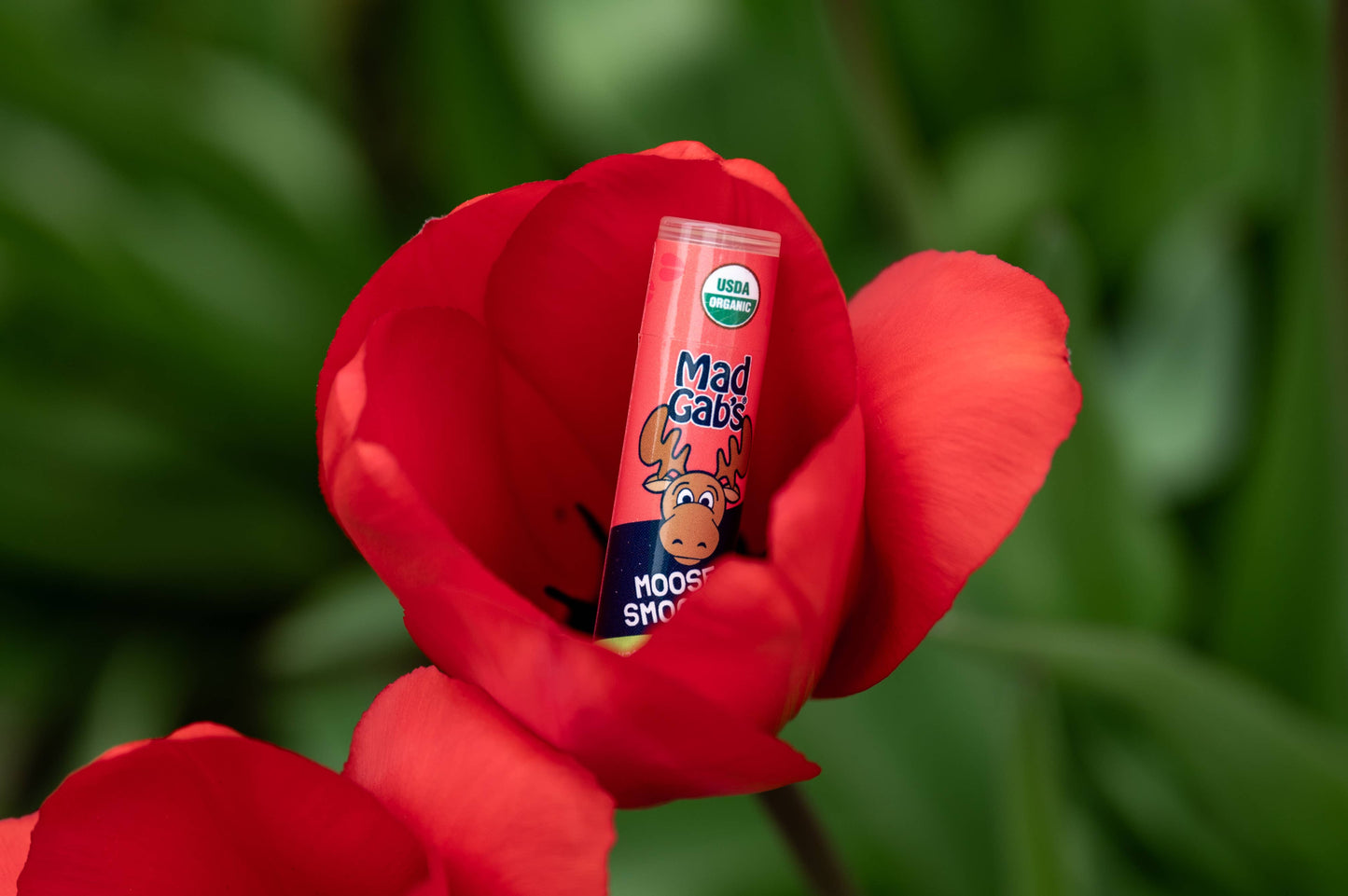 Organic Moose Smooch Watermelon Ice Lip Balm POP