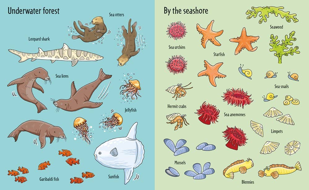Under The Sea First Sticker Book