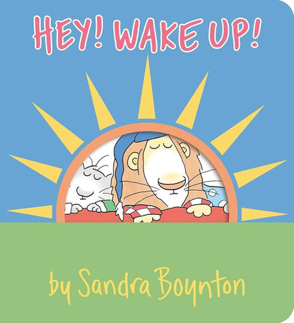 Hey! Wake Up!