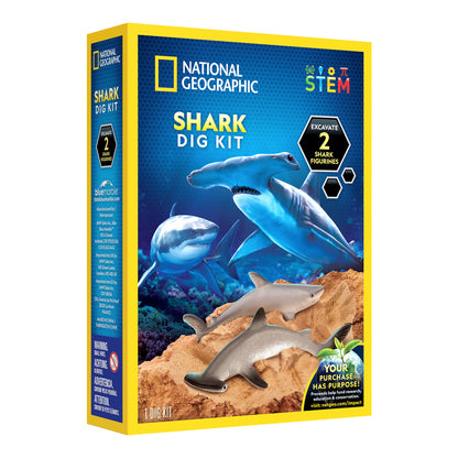 Hammerhead Shark Dig Kit