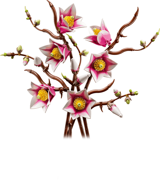 Magnolia Branches