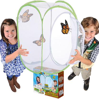 Butterfly Habitat and Terrarium