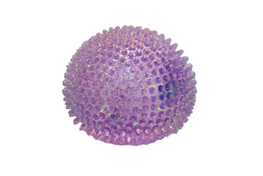 Spikes Sensory Toys