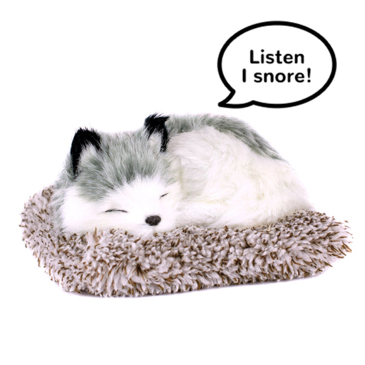 Alaskan Husky - Mini Perfect Petzzz