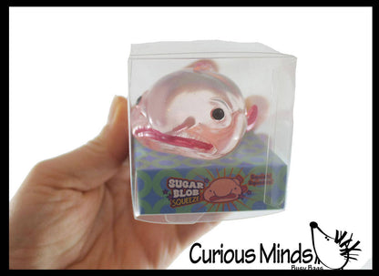 Blob Fish in Clear Box