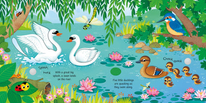 Bird Sounds: Usborne