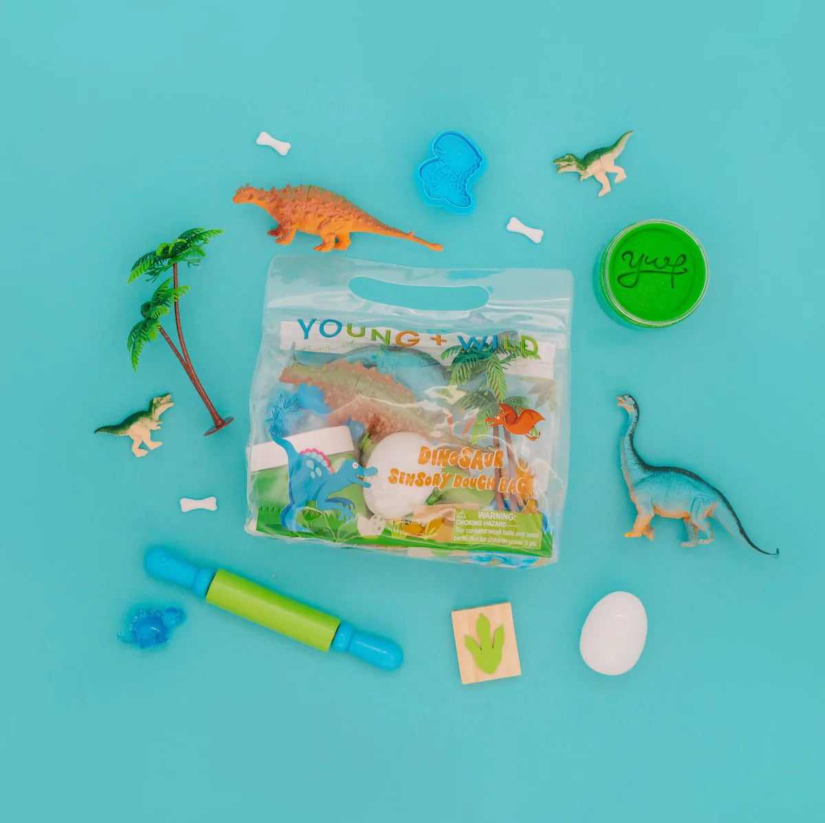 Dinosaur Dough Bag (Young, Wild & Friedman)