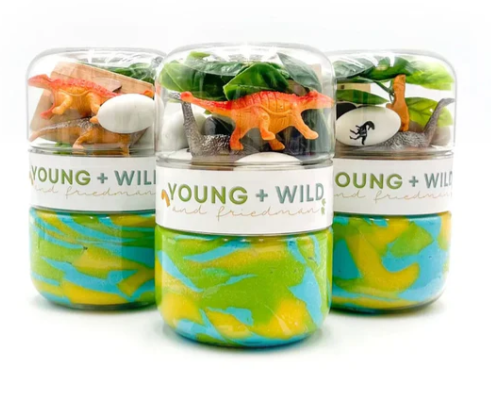 Dinosaur Grab Go Dough (Young Wild & Friedman)