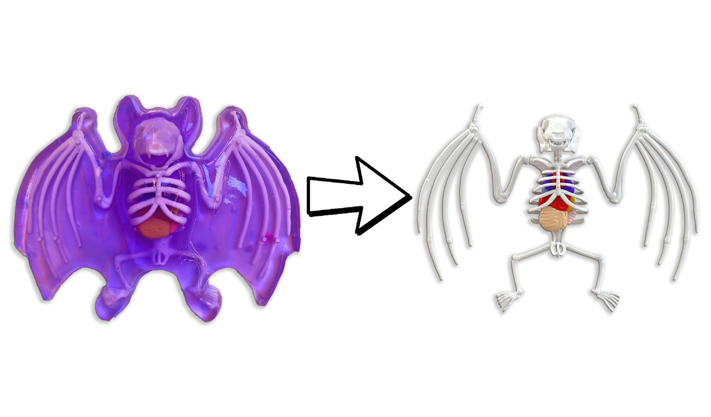 Dissect IT - Bat