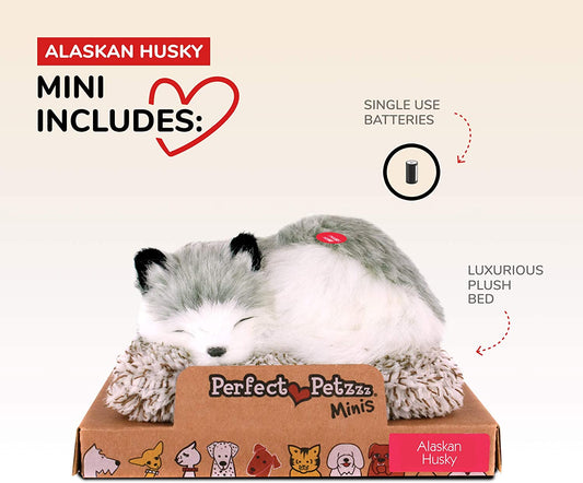 Pp Mini Alaskan Husky