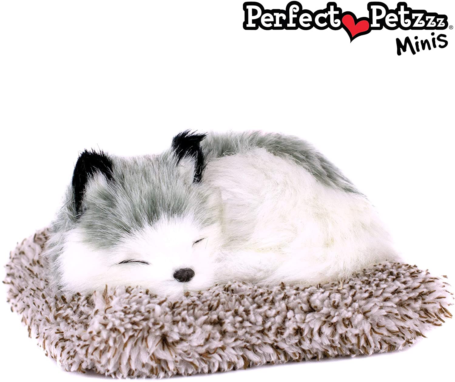 Pp Mini Alaskan Husky