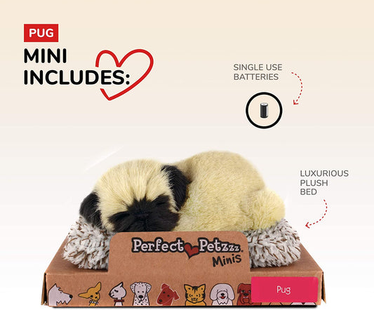 Pp Mini Pug