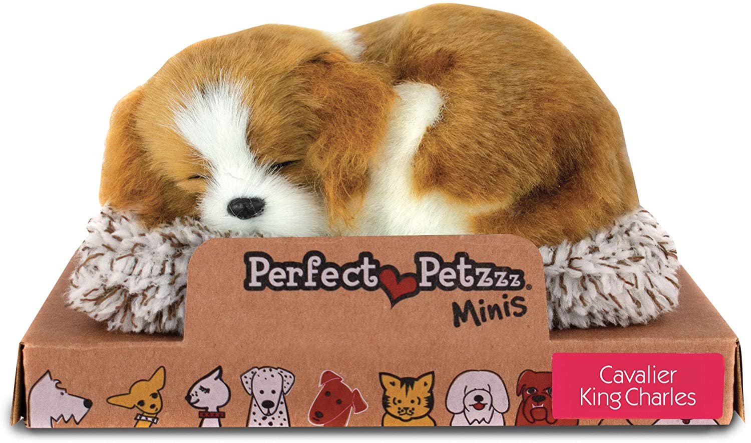 Perfect Petzzz Mini Cavalier King Charles