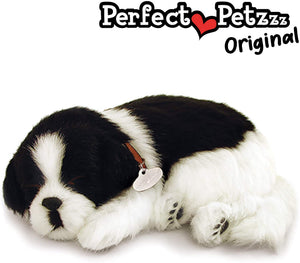 Border Collie - Perfect Petzzz