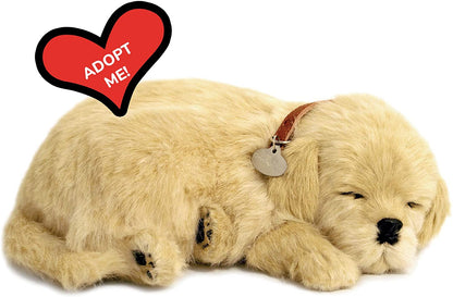 Perfect Petzzz Golden Retriever