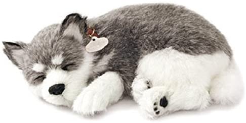 Pp Alaskan Huskey Plush