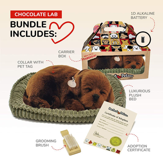 Perfect Petzzz Chocolate Lab