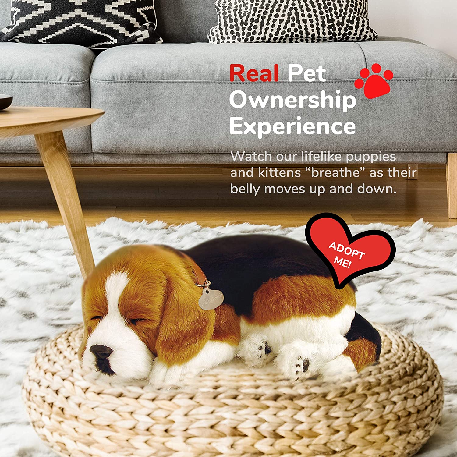 Perfect Petzzz Beagle