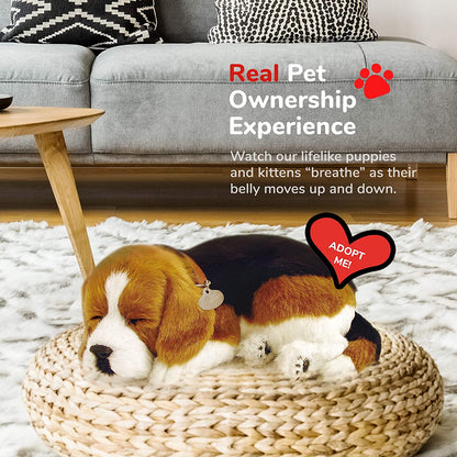 Perfect Petzzz Beagle