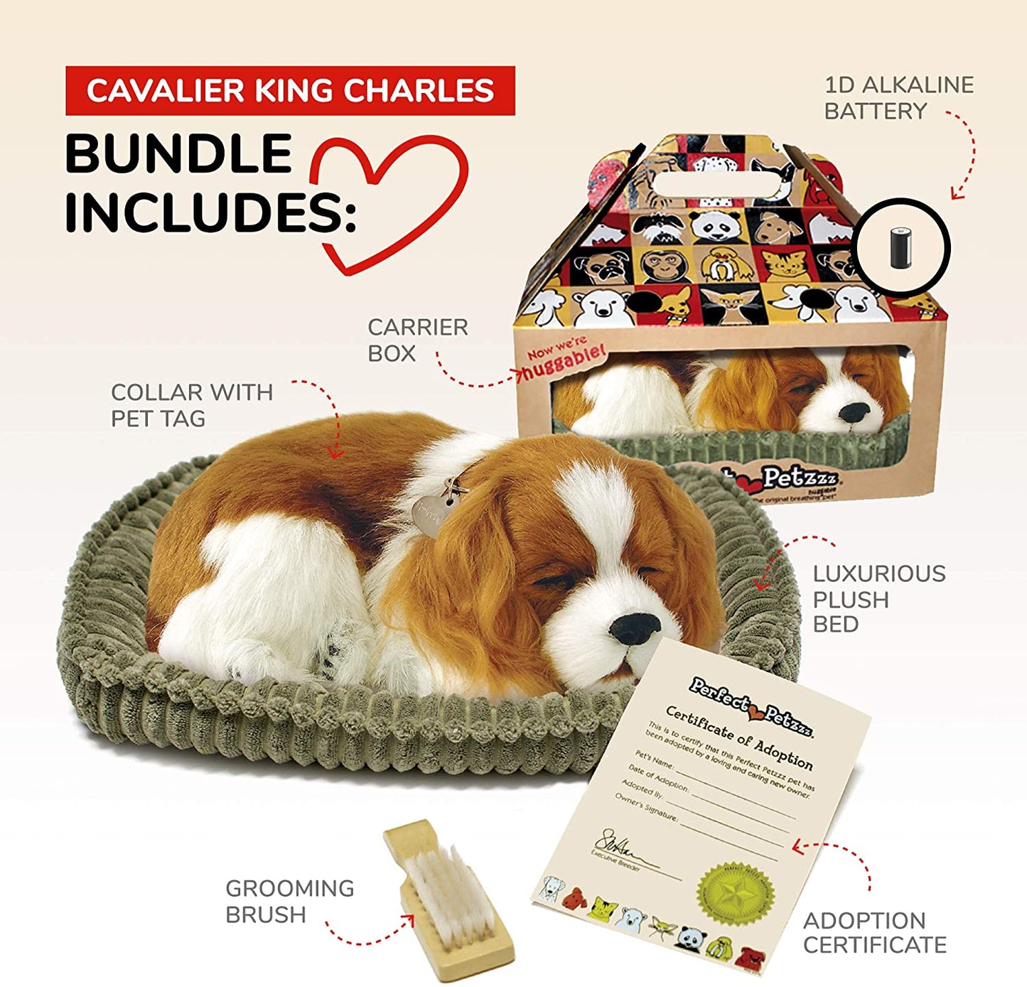 Perfect Petzzz Cavalier King Charles