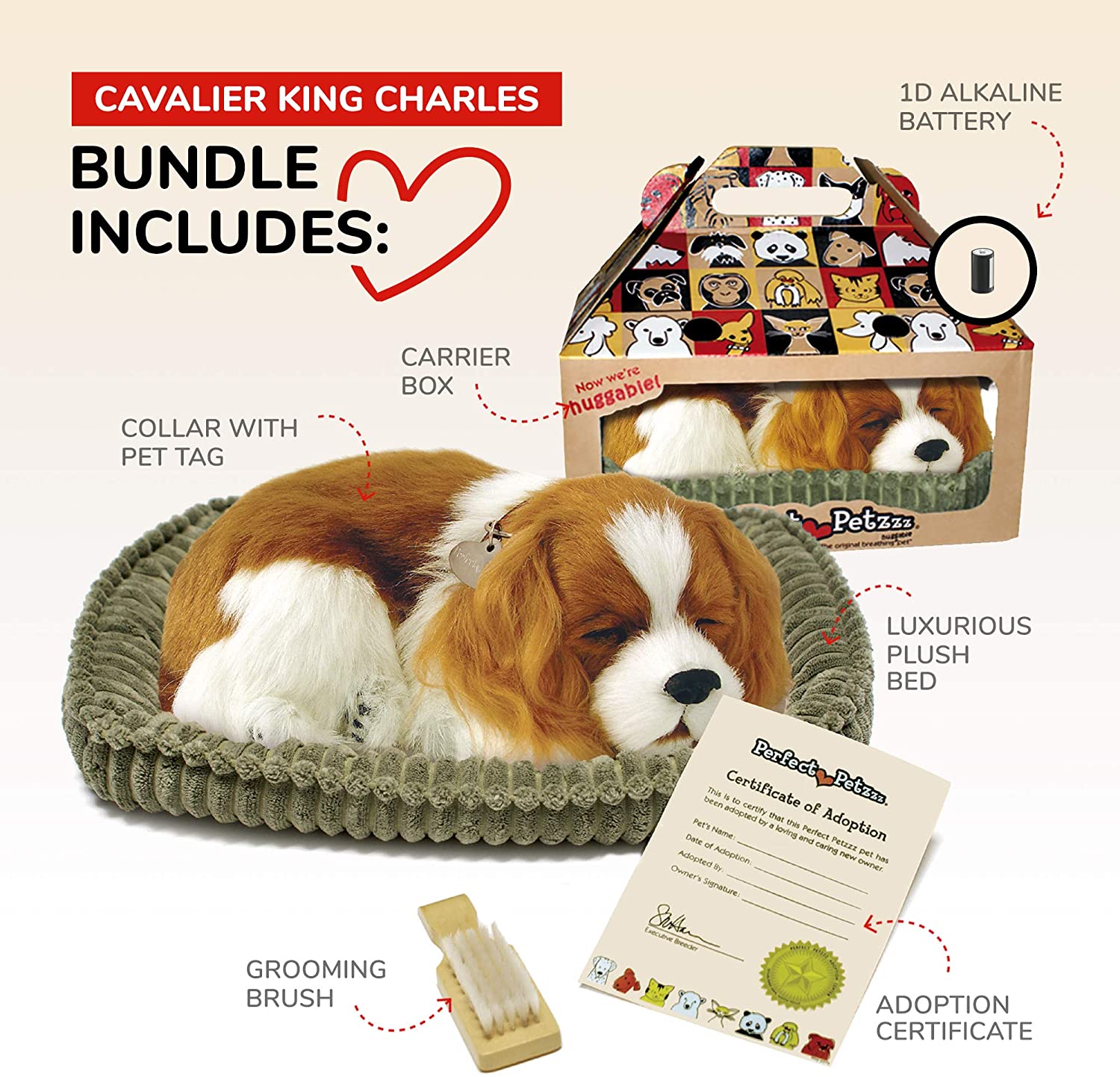Perfect Petzzz Cavalier King Charles