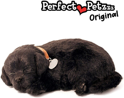Perfect Petzzz Black Lab
