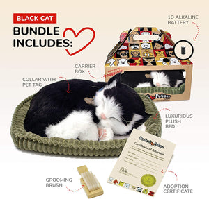 Black & White Shorthair Cat - Perfect Petzzz