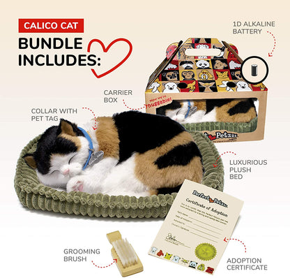 Pp Calico Cat