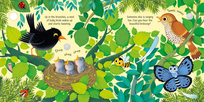 Bird Sounds: Usborne