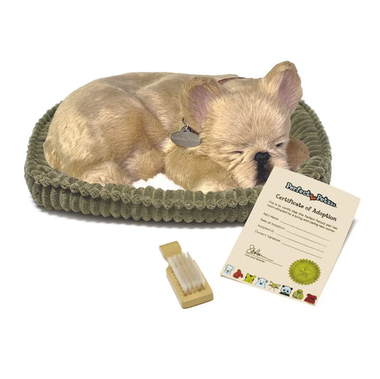 French Bulldog - Perfect Petzzz