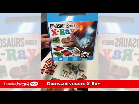 Dinosaurs Under the X-Ray
