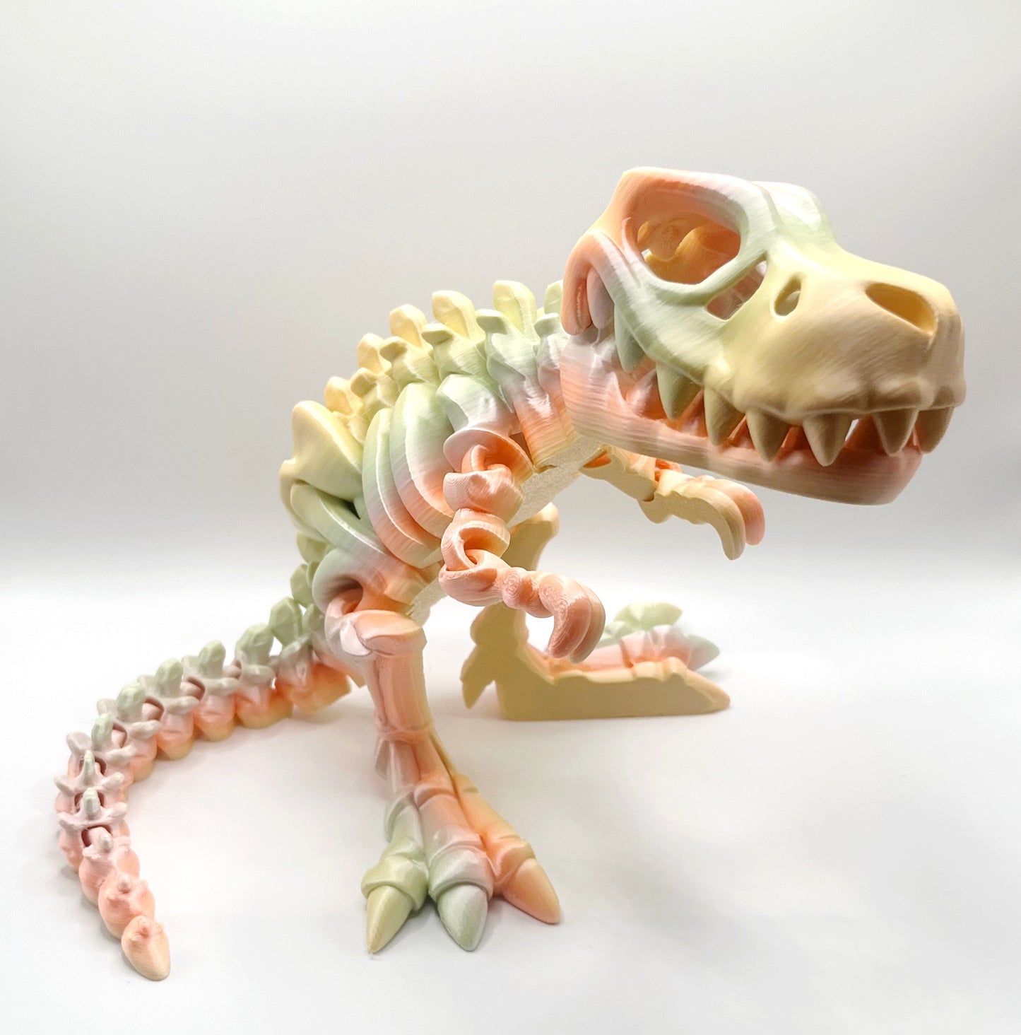 3D T-Rex Skeleton Large